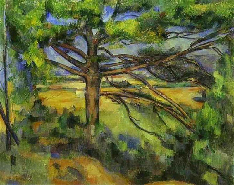 pine tree near aix.jpg